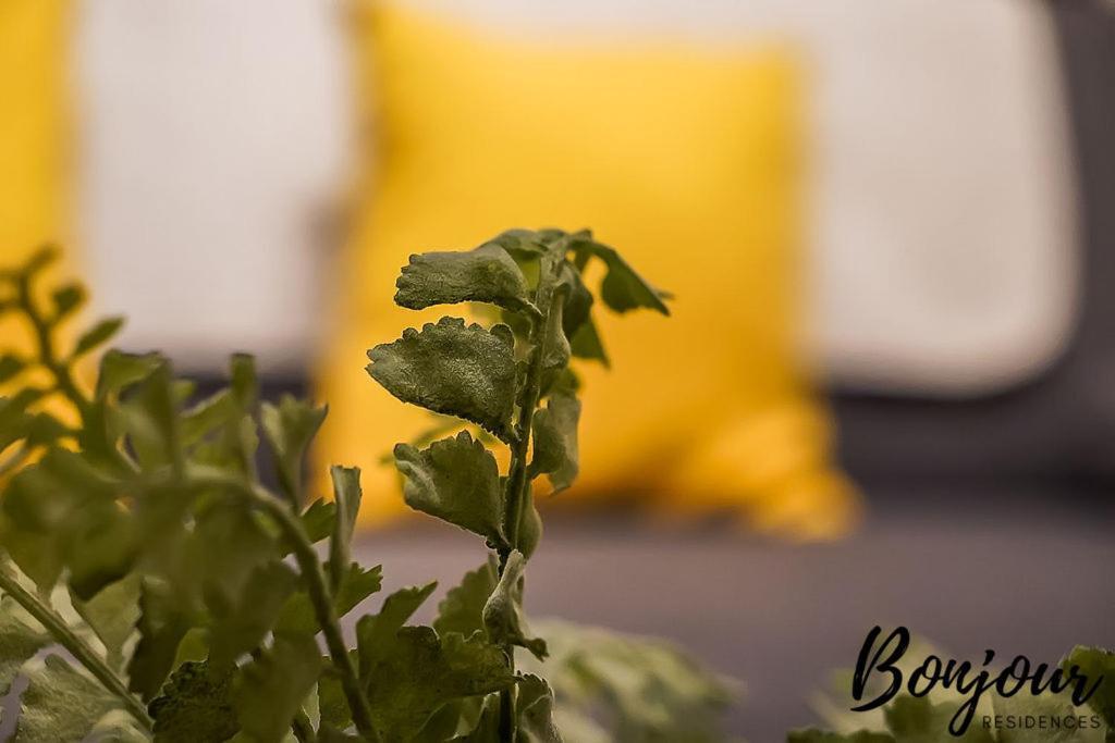 Spacious 2Br-1Ba - Grassmarket - Free Parking By Bonjour Residences Edinburgh Ngoại thất bức ảnh